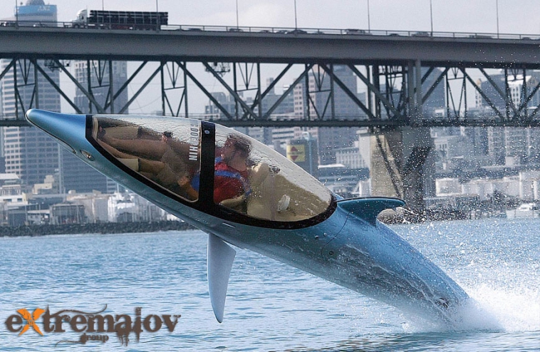 Seabreacher J
