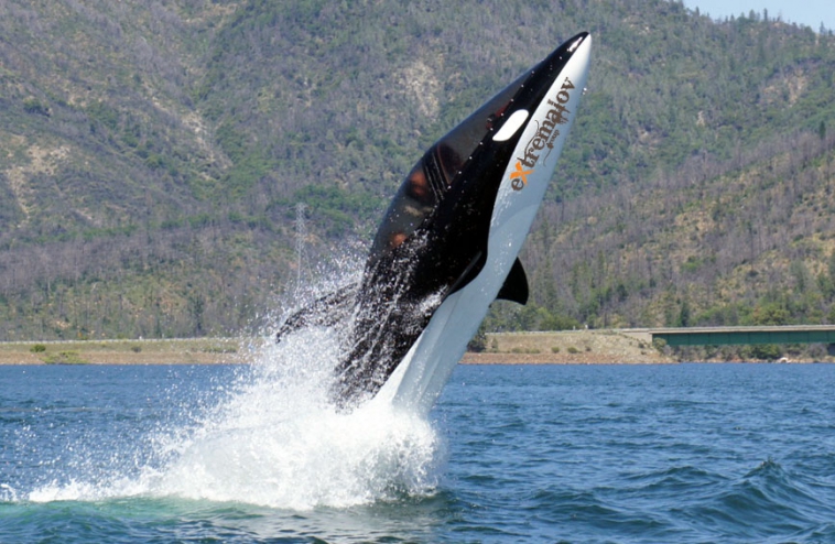 Seabreacher Y