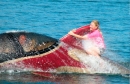 Seabreacher Y