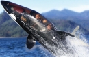Seabreacher Y